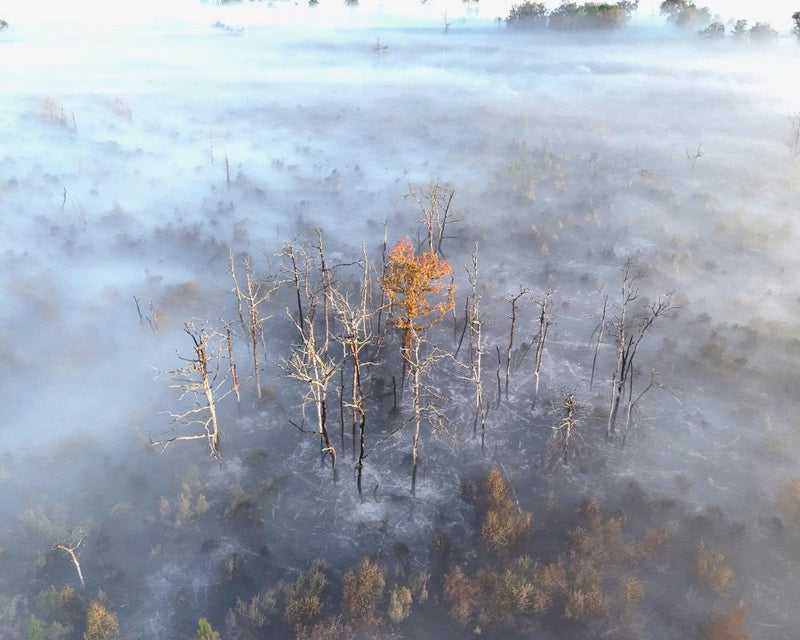 France and Spain Wildfires: Climate Alarm Blares as Heatwave Hits
