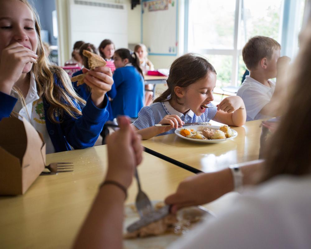 School Lunch Checks: England's New Nutrition Enforcement