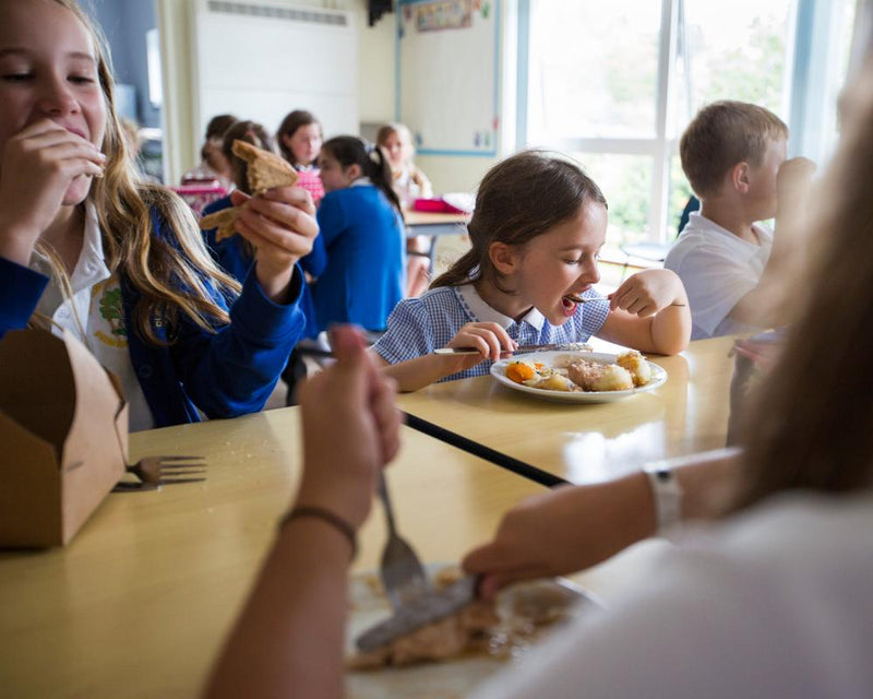 School Lunch Checks: England's New Nutrition Enforcement