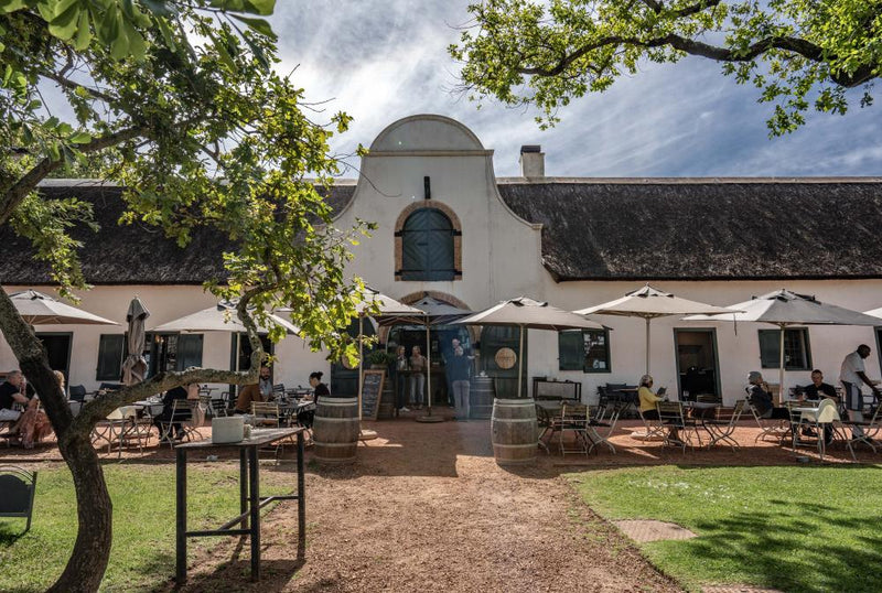 South Africa's Wine Estates Reckon With Slavery's Legacy