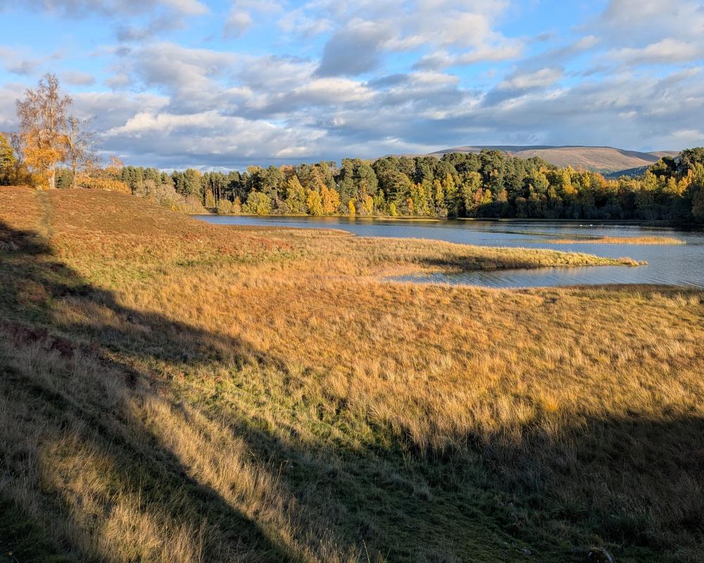 Autumn Light and Shade: Why Shorter Days Feel Precious