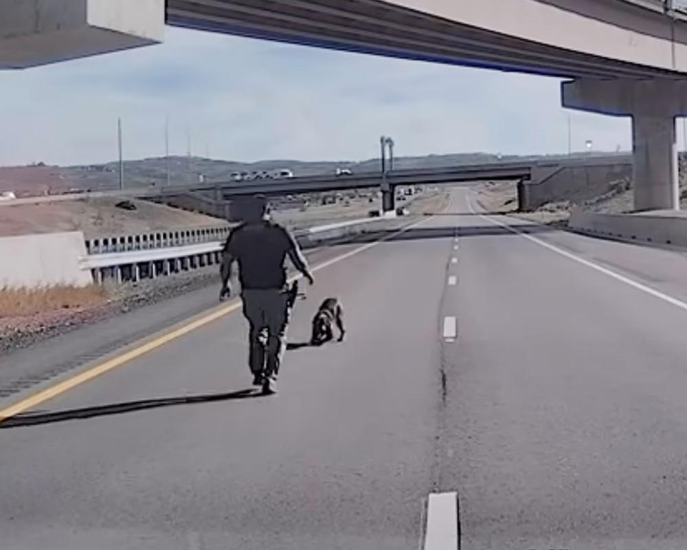 Utah Police Dog Bruno Injured in Dramatic Overpass Leap