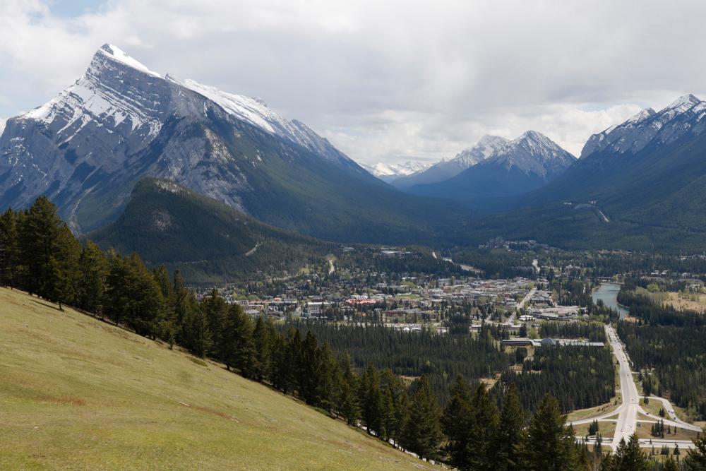 Alberta Rat Patrol Ramps Up as Rats Make Inroads in Province