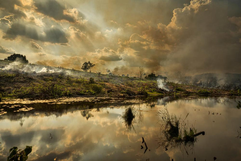 El Niño Amazon Drought Threatens Global Climate Stability