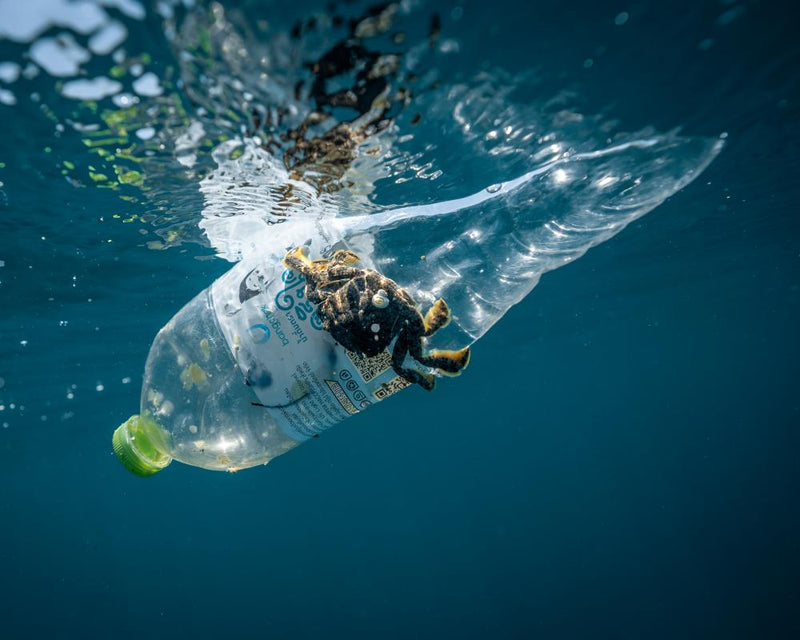 Ocean Cleanup Collects 1.3 Million Plastic Bottles in One Day