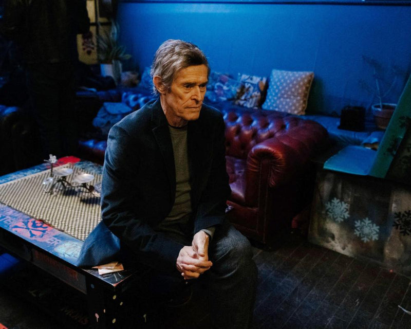 Narcissist Artist Films Reveal Fear of Ageing in Cinema