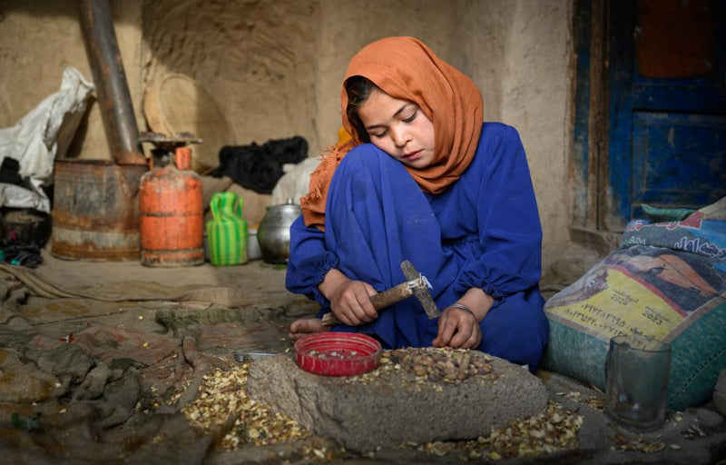 Drought Forces Afghan Families to Sell Girls as Brides