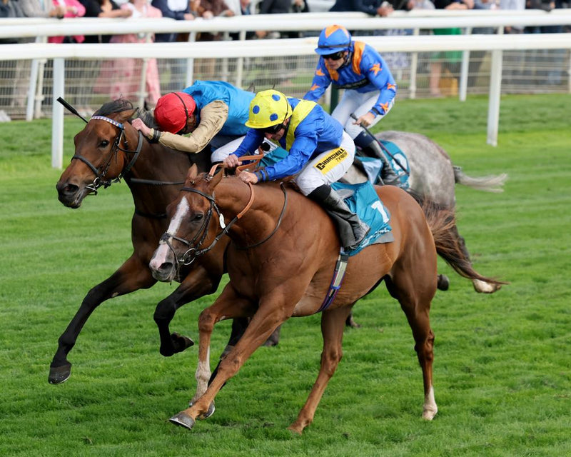 Andrew Balding's Bold Bid for British Flat Trainers' Crown