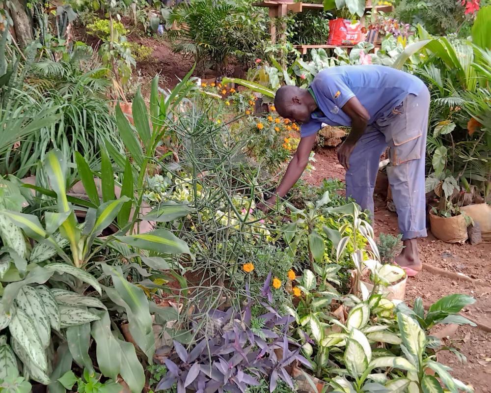 Cameroon's Capital Loses Green Space as Yaoundé Expands
