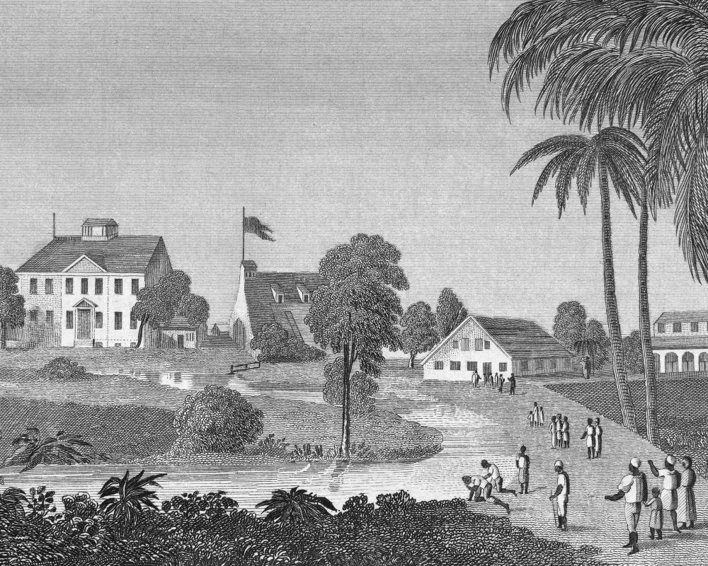 Guyana's Post-Slavery Collective Action: Lessons in Economic