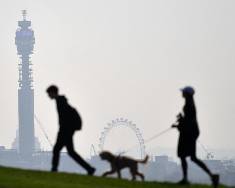 Air Pollution Solutions: How Cities Are Breathing Easier