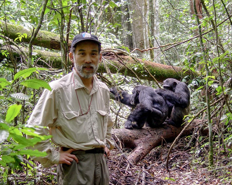 Chimps Civil War: The Man Who First Saw It in Uganda