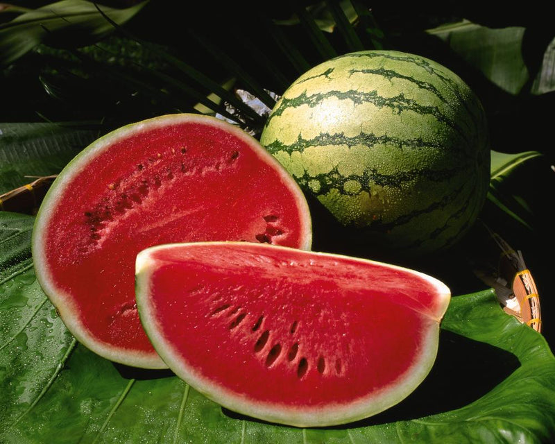 Why Melons and Cool Fruits Rule August: Light, Sweet, Easy