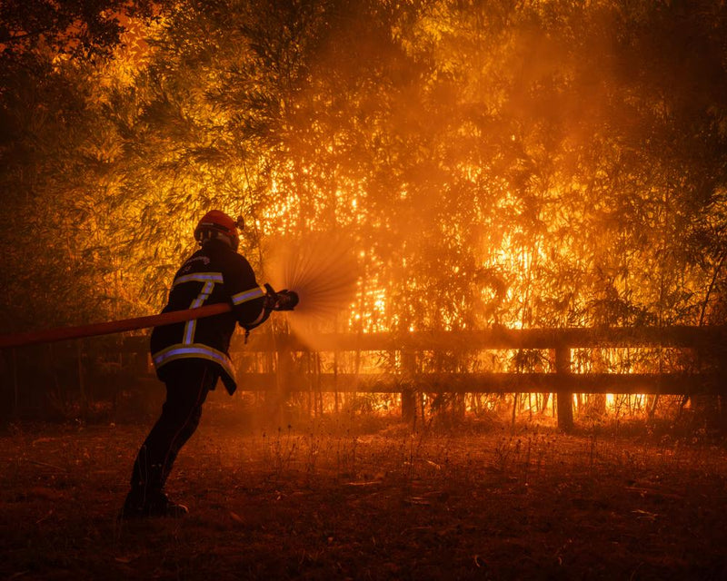 Europe Wildfires 2026: Visual Guide to Devastating Blazes