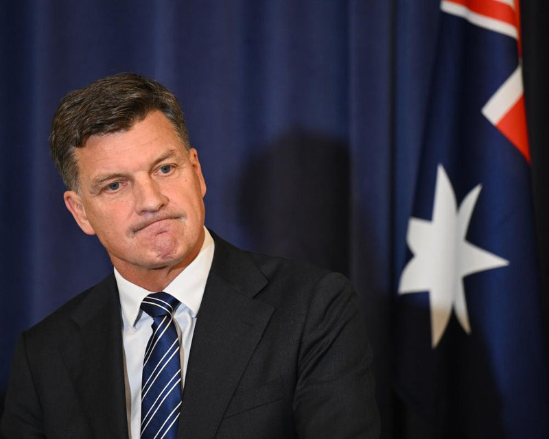 Angus Taylor Slammed as Tone Deaf Over Helen Haines Attack Response