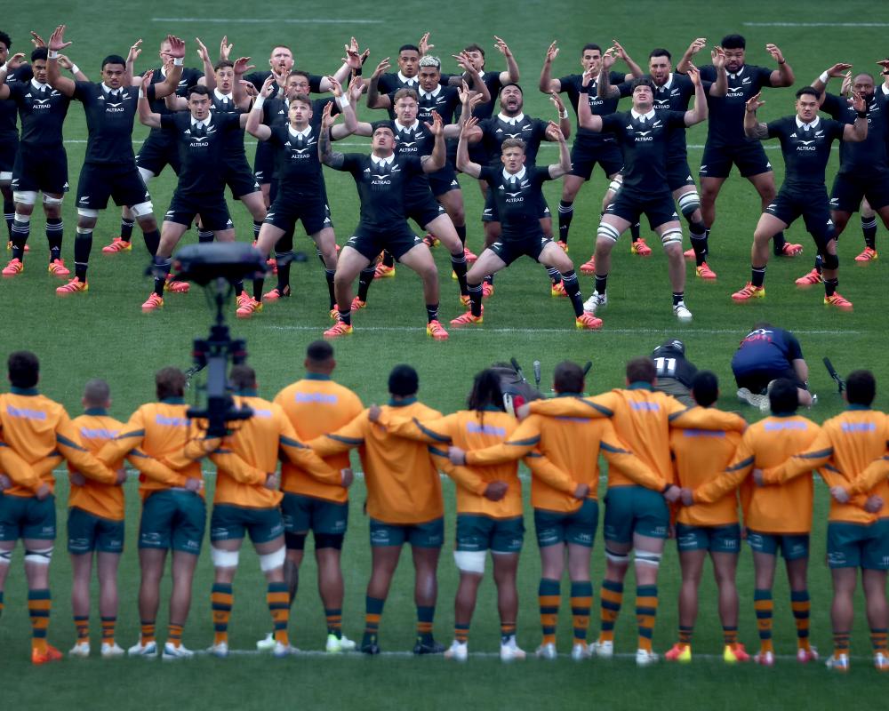Wallabies Seek Optimism After Bledisloe Cup Humbling