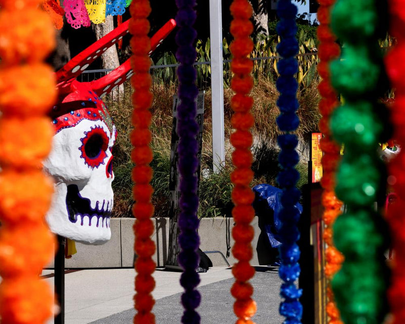 Day of the Dead Celebrations Revive as ICE Fears Ease in US