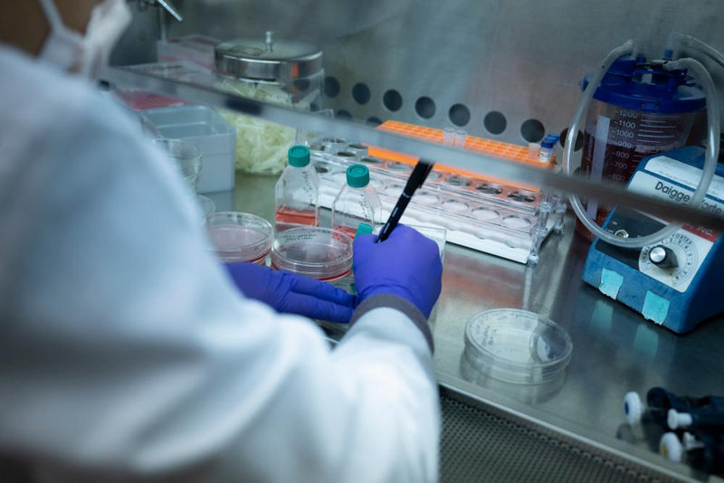 Sickle Cell Treatment Access: Only 3% Get Red Blood Cell Exchange
