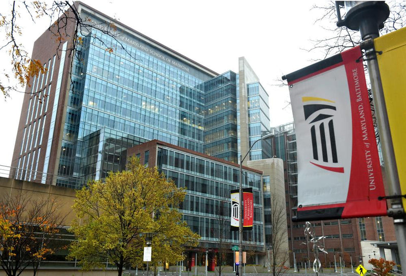 University of Maryland Teacher of the Year Detained by ICE