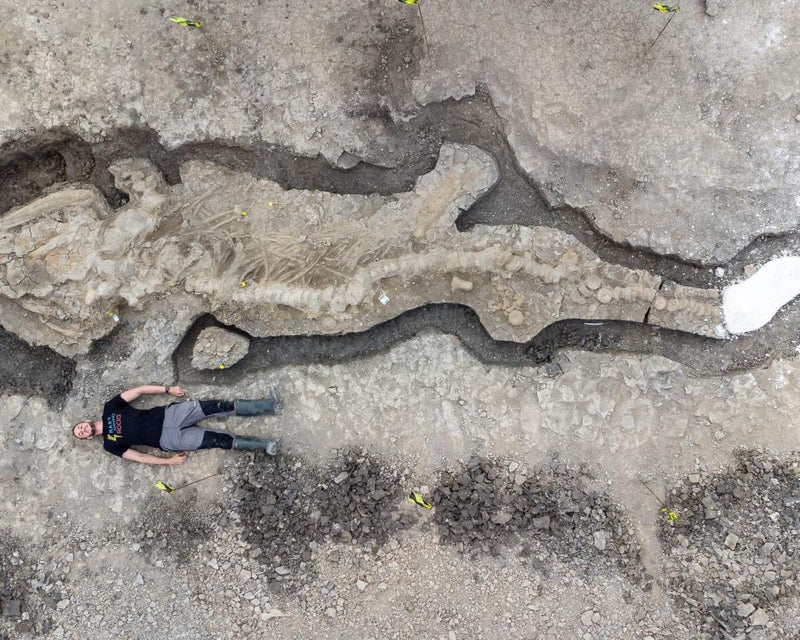 Fossil Export Controls: Why They Deserve National Treasure Status