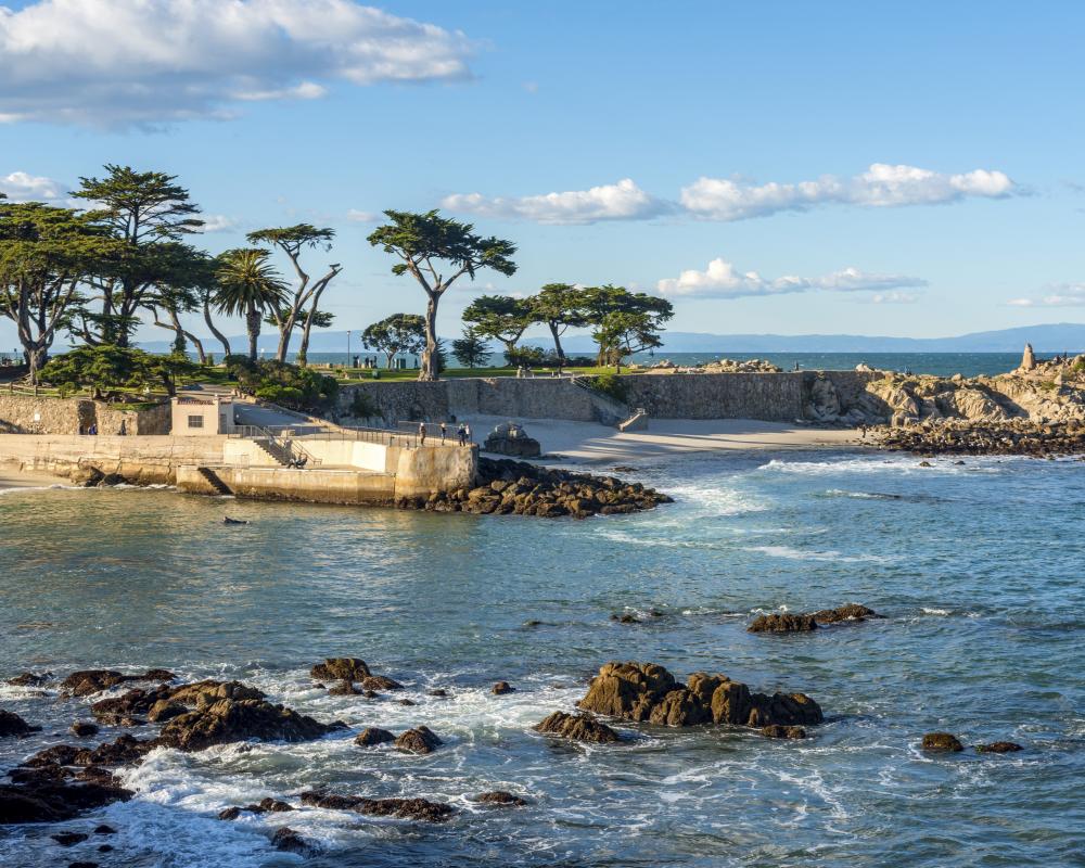 Shark Bite Death: California Woman's Autopsy Reveals Fatal Attack