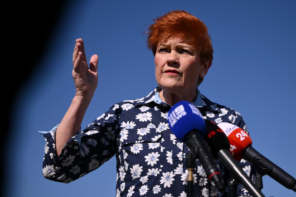 Pauline Hanson Backs Nuclear Plants on Australia's East Coast