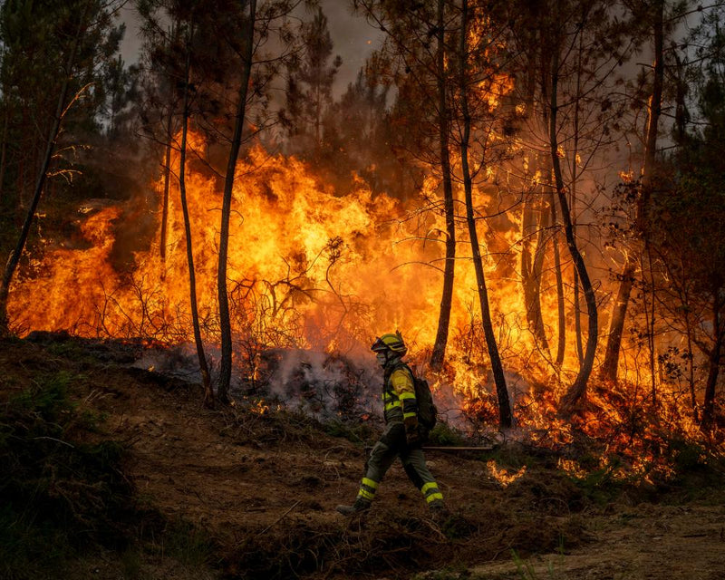 Climate Sanctions Needed as Europe Burns from Wildfires