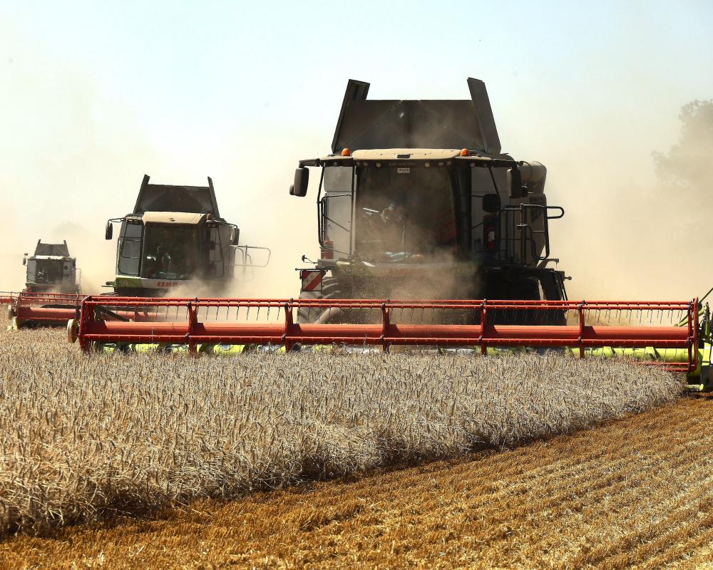 Ukraine War Threatens Egypt Food Supply from Black Sea Strikes