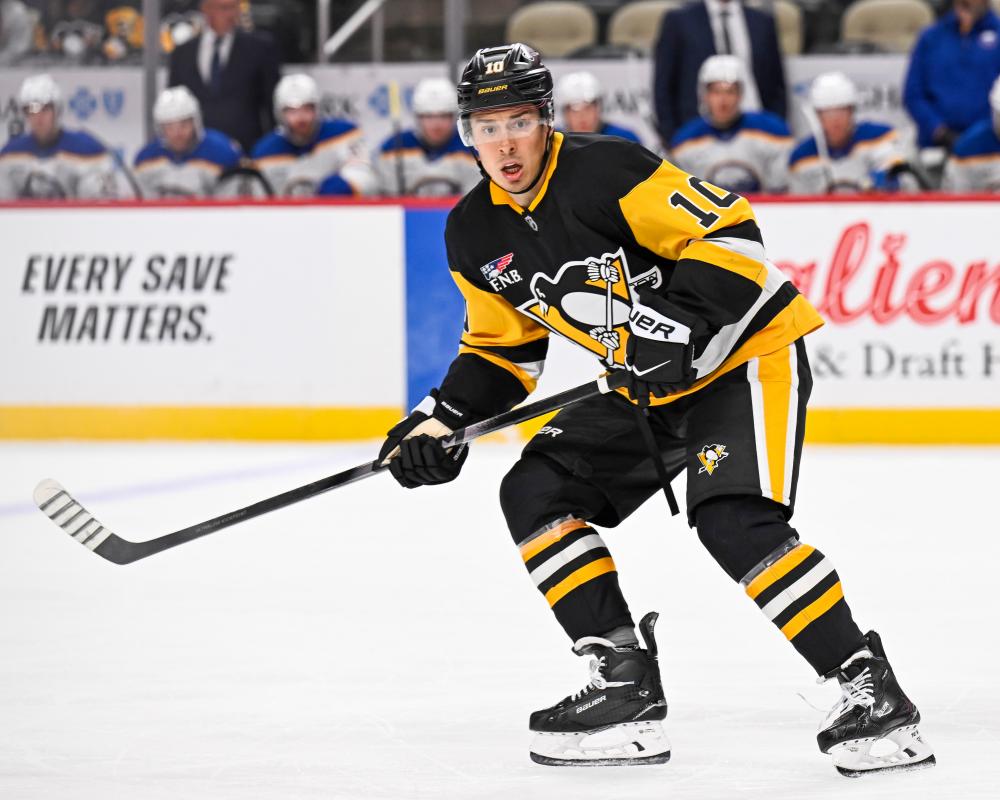 NHL Star Andrei Kuzmenko's Father Killed in Siberia Bear Attack
