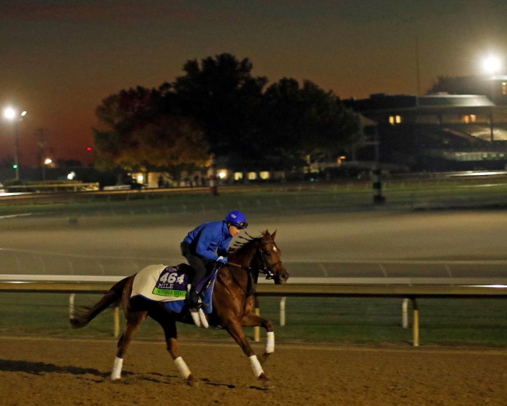 Bay City Roller Eyes Breeders' Cup Turf Glory at Keeneland
