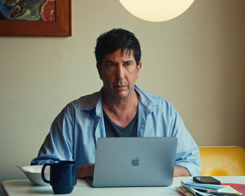 Junk Review: David Schwimmer Lost in Frustrating Hollywood Satire