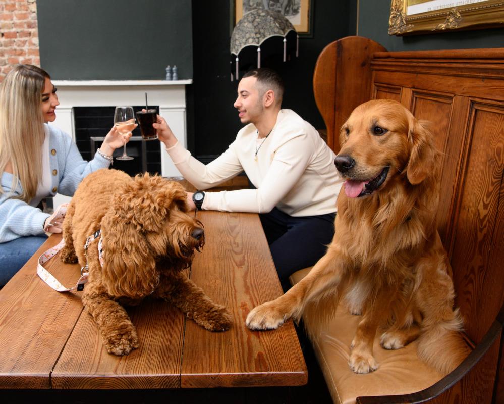 Dog-Friendly Pub Etiquette: Essential Rules for Pubs with Pooches