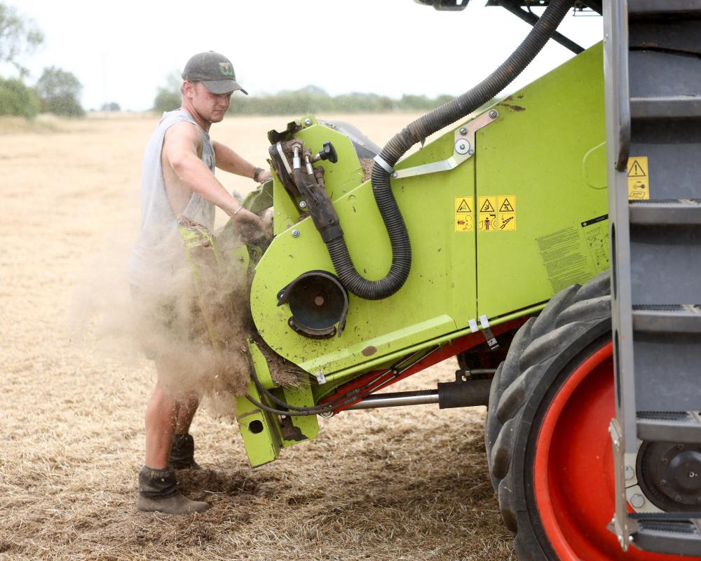 Food Prices Hit 3-Year High as Heatwaves and Conflict Disrupt