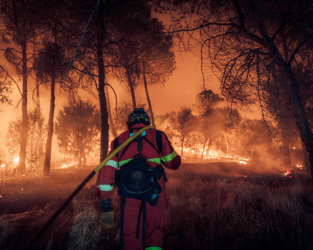 Europe Wildfires: Heatwave Threatens Record Burn Season