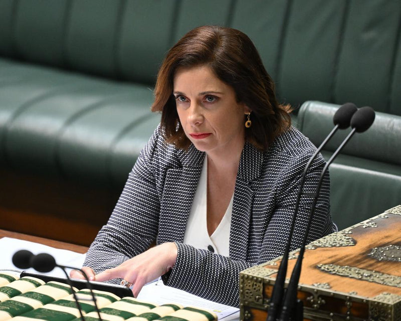 Gambling Law Holes Exposed: Labor's Reforms Won't Stop Addicts