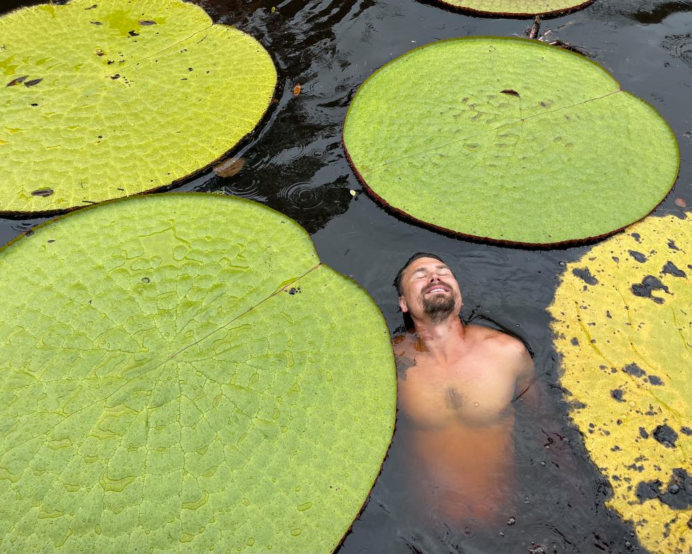 Giant Waterlily Discovery: New Species Found in Colombia