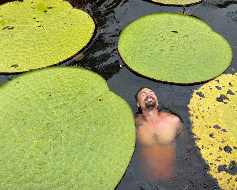 Giant Waterlily Discovery: New Species Found in Colombia