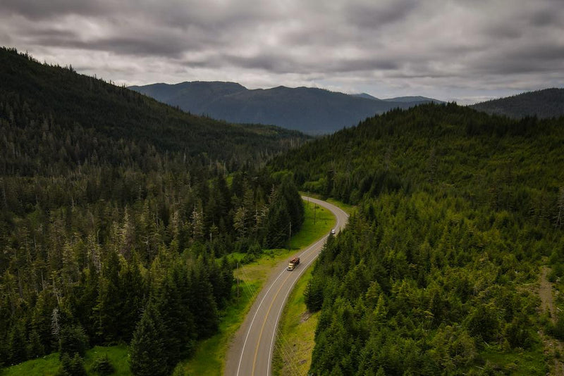 Forest Service Chief Faces Scrutiny Over Logging Ties