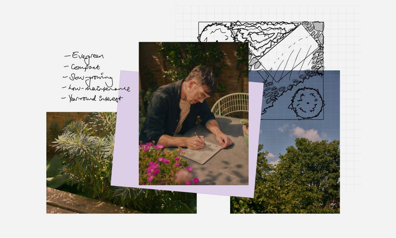 Paper Tablet Creative Gamechanger for Garden Designers