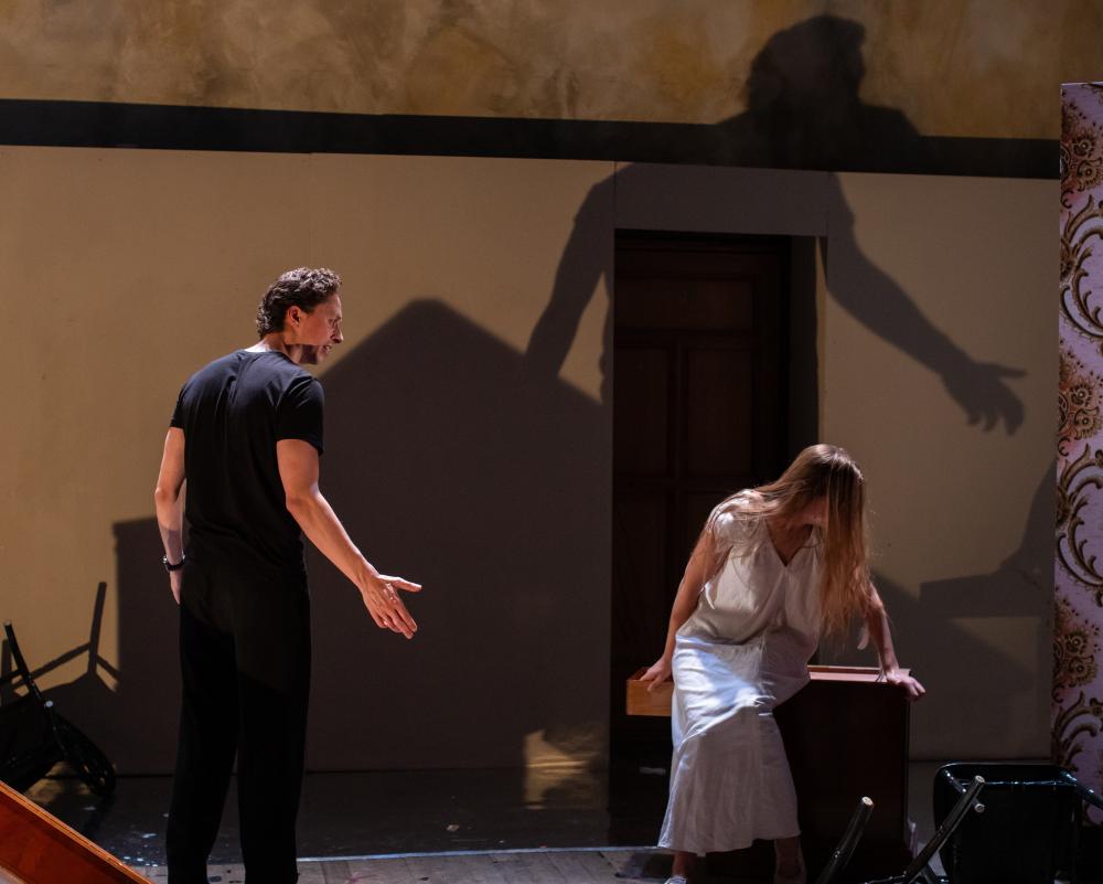 Nina Review: Invasive Auditions for The Seagull Exposed