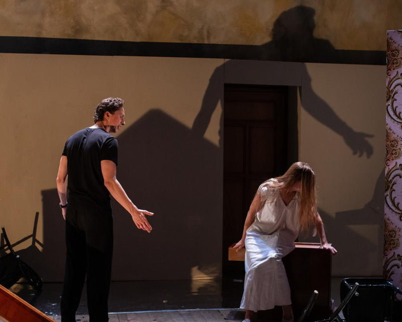 Nina Review: Invasive Auditions for The Seagull Exposed