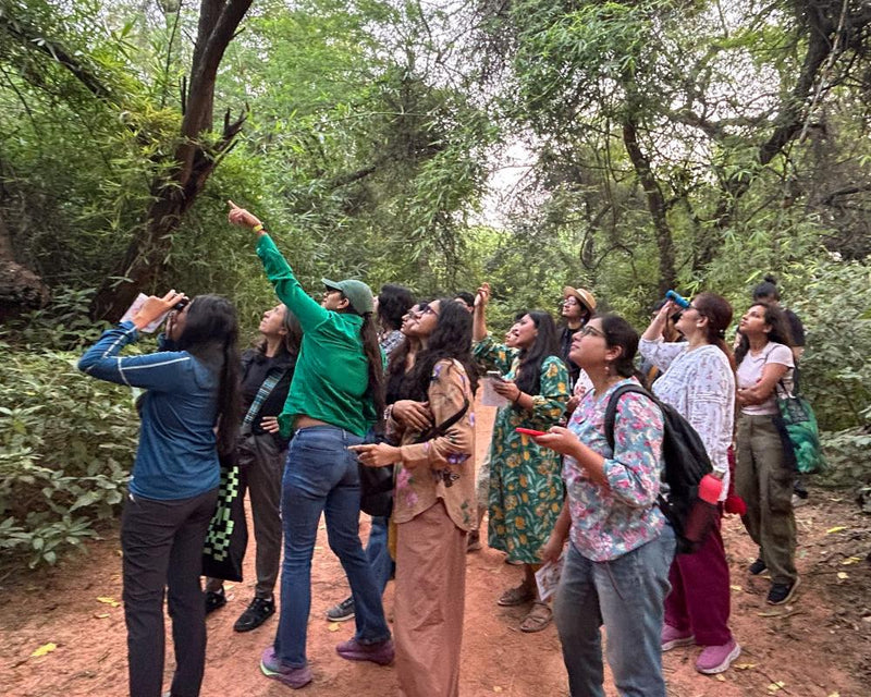 Delhi Women Reclaim Outdoors After Rape Protests Demand Justice