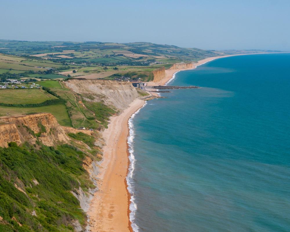 Why Common Fossils Don't Need Protection on Jurassic Coast