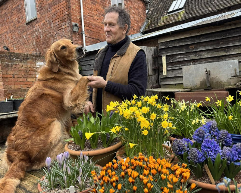 Monty Don Leaves BBC Gardeners' World After 23 Years