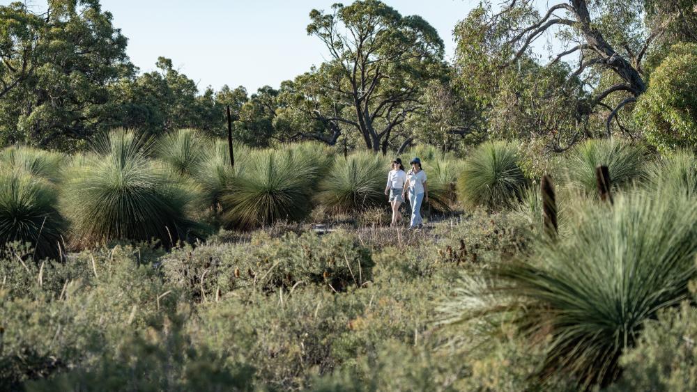 How Environmental Concerns Shape Young Australian Money Habits
