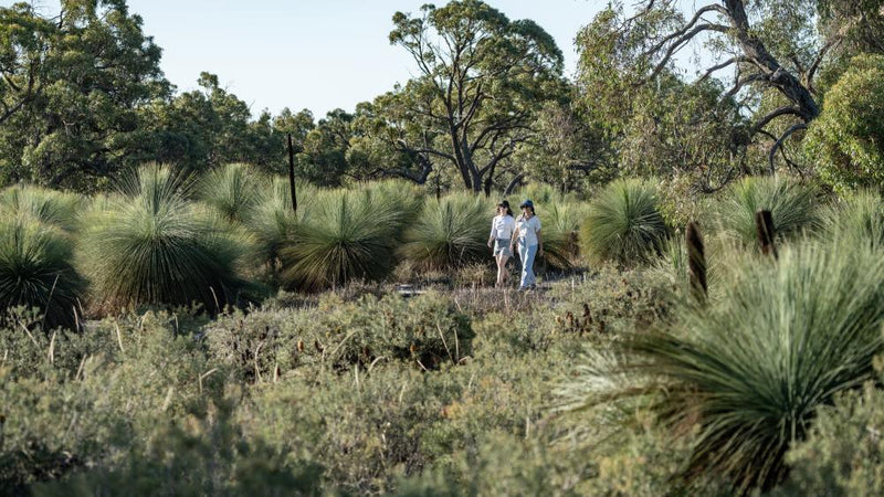 How Environmental Concerns Shape Young Australian Money Habits