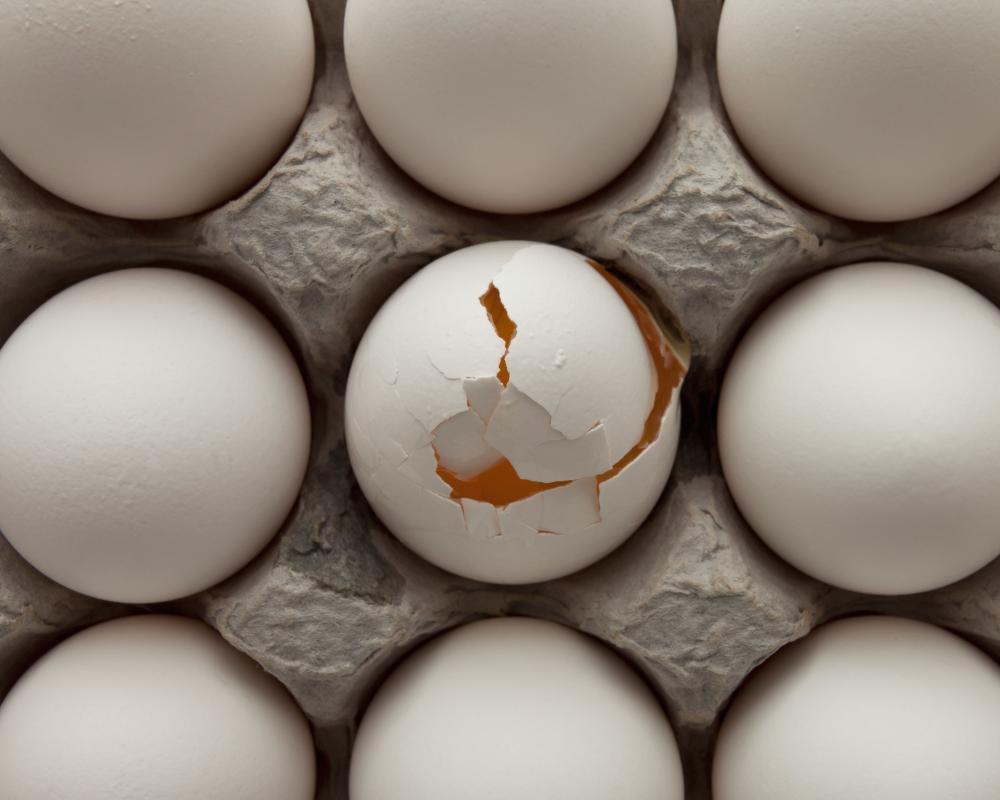 Australia Egg Cartel: ACCC Sues Sunny Queen and 11 Suppliers