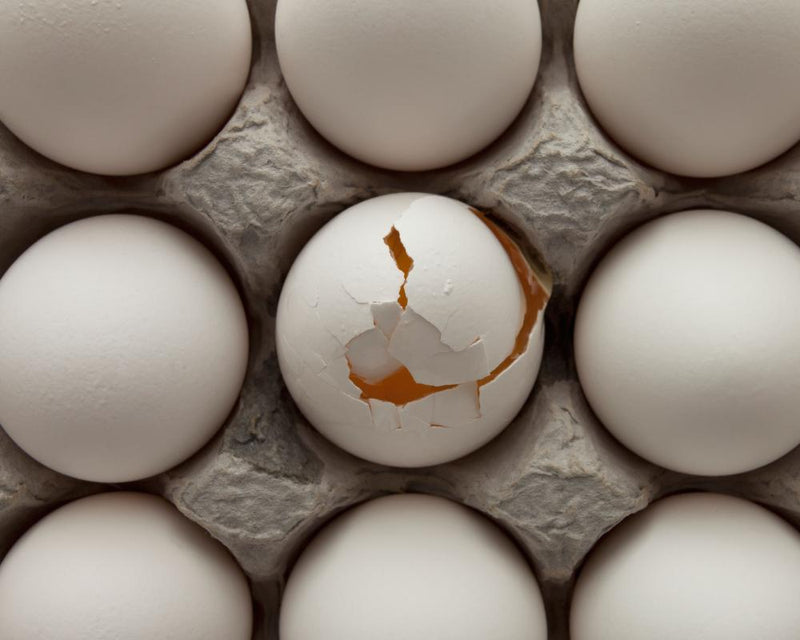 Australia Egg Cartel: ACCC Sues Sunny Queen and 11 Suppliers