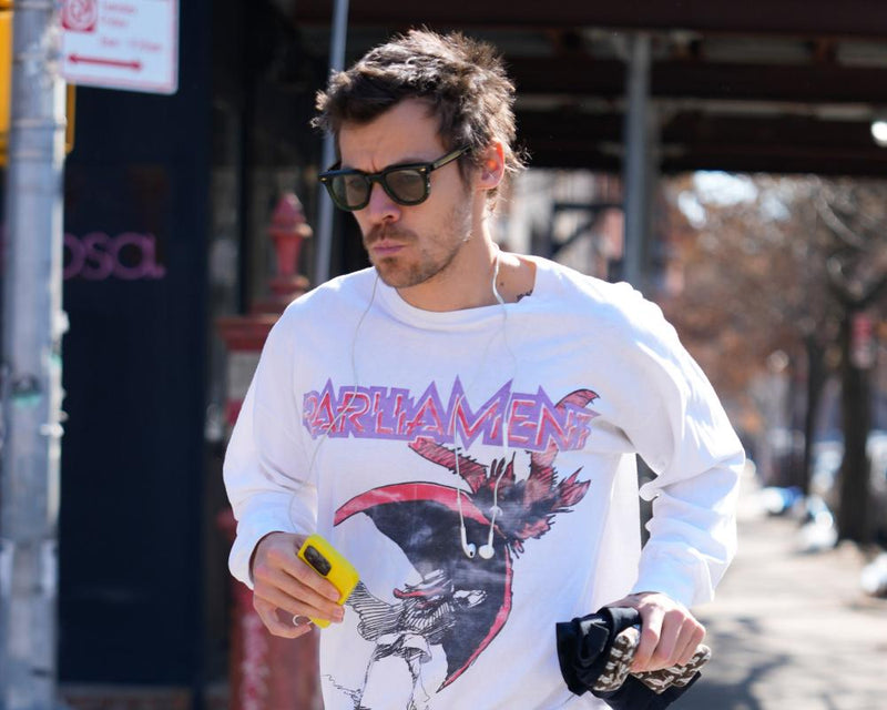 Harry Styles Dead Laptop: Six Years Without a Computer