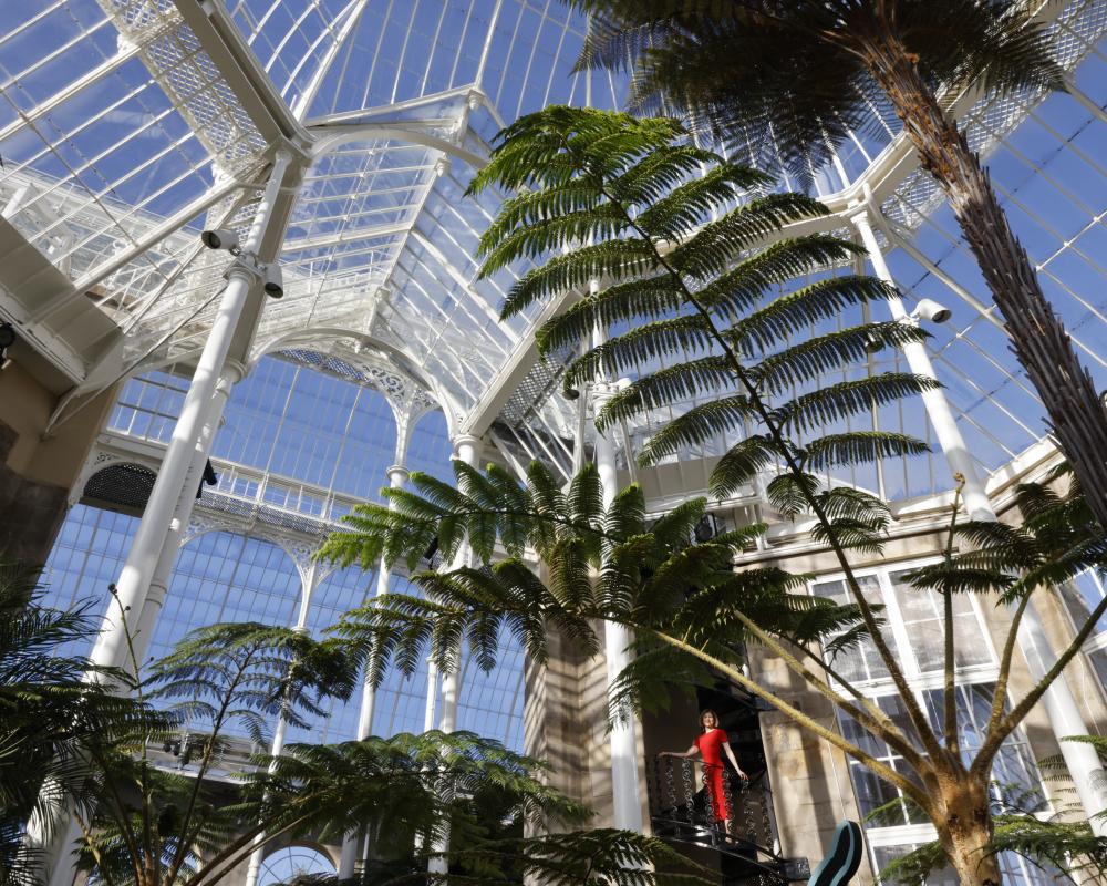 Edinburgh Botanic Garden's Race to Protect Plants from Falling Glass